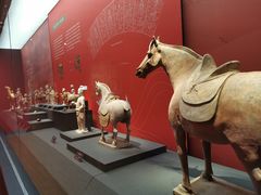 -中国江南水乡文化博物馆