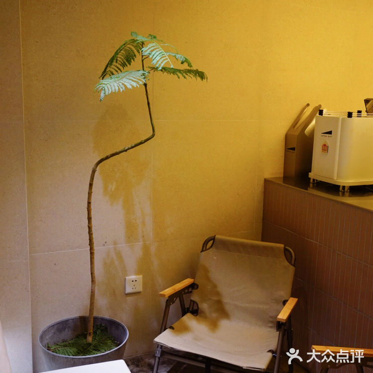 真治愈～咖啡馆里面是手冲区域，因为临近关门
