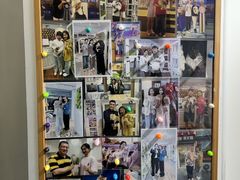 -青奢宠物·青奢猫舍