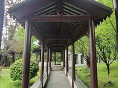 -八大山人梅湖景区