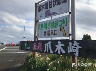 包括一月这种季节居然可以赏水仙