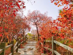 -北京金海湖景区