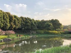 -美兰湖景区