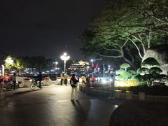 -野狸岛
