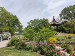 -鹅湖玫瑰文化园