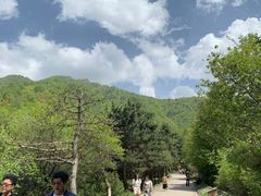 -官滩沟风景区