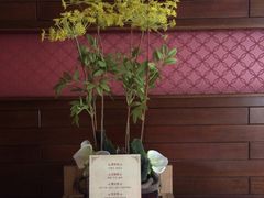 -和子足浴SPA会馆(梁溪店)