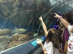 -上海海洋水族馆-停车场