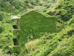 -枸杞岛