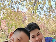 -长春公园(普阳街道)