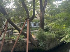 -上海醉白池公园