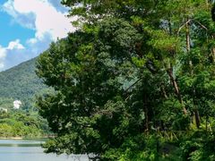 -广州市流溪河国家森林公园