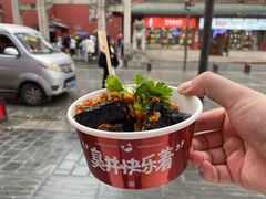 -黑色经典臭豆腐·湖南特产(坡子街店)