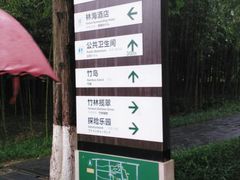 -黄海国家森林公园