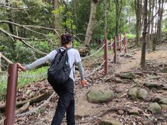 -火炉山森林公园