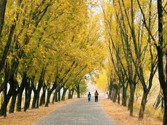 -野鸭湖国家湿地公园