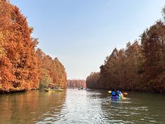 -上海海湾国家森林公园
