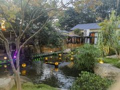 -湘力力小院·鱼汤泡饭(枫林路店)