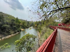 -红花湖景区
