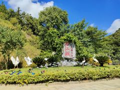 -广州白江湖森林公园