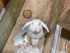 -上海大自然野生昆虫馆(东方明珠·爬宠昆虫探索中心)