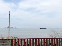 -上海滨江森林公园