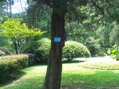 -镇江市南山风景名胜区竹林景区