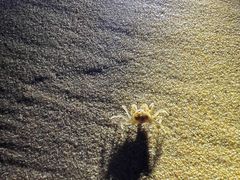 -烟台金沙滩海滨公园