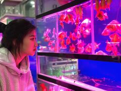-苏州艺都古玩花鸟市场