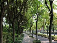 景点-美兰湖景区
