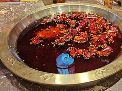 -堂客老火锅(欣阳广场总店)