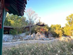 -大望京公园