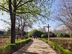 -洛阳市隋唐城遗址植物园