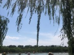 -廊坊市自然公园