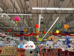 -麦德龙(浦东店)