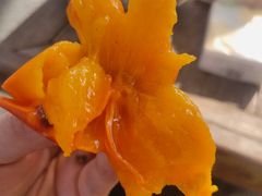 -悦哉·派对·草坪婚礼·围炉煮茶(三圣乡店)