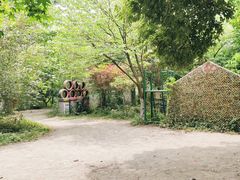 -勇士之星真人CS·团建·拓展(清水河公园店)