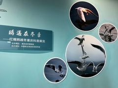 -重庆自然博物馆(新馆)