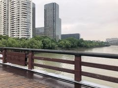 -运河游船(武林门码头)