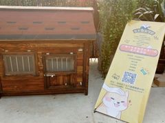 -柴犬高等学院·狗咖·柴犬售卖·宠物训练