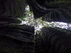 -梭布垭石林景区