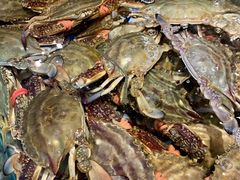 -旺角小渔村(幸福中路店)