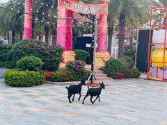 -三亚海昌梦幻海洋不夜城