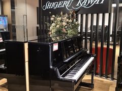 -柏斯琴行(汾阳店)