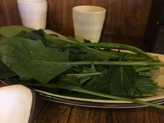 菠菜-六合顺