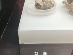-河姆渡遗址博物馆