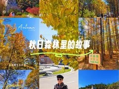 -帽儿山国家森林公园