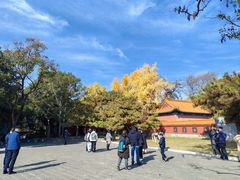 -戏马台景区