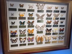 -上海昆虫博物馆