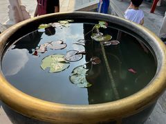 -后海16号·北京私房菜